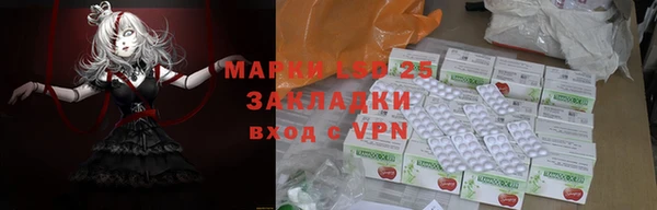 индика Баксан