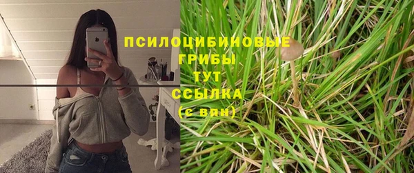 индика Балабаново