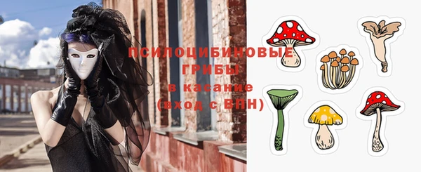 крисы Балахна