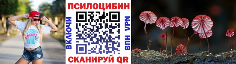 Галлюциногенные грибы Cubensis  blacksprut ссылка  Коломна  закладка 